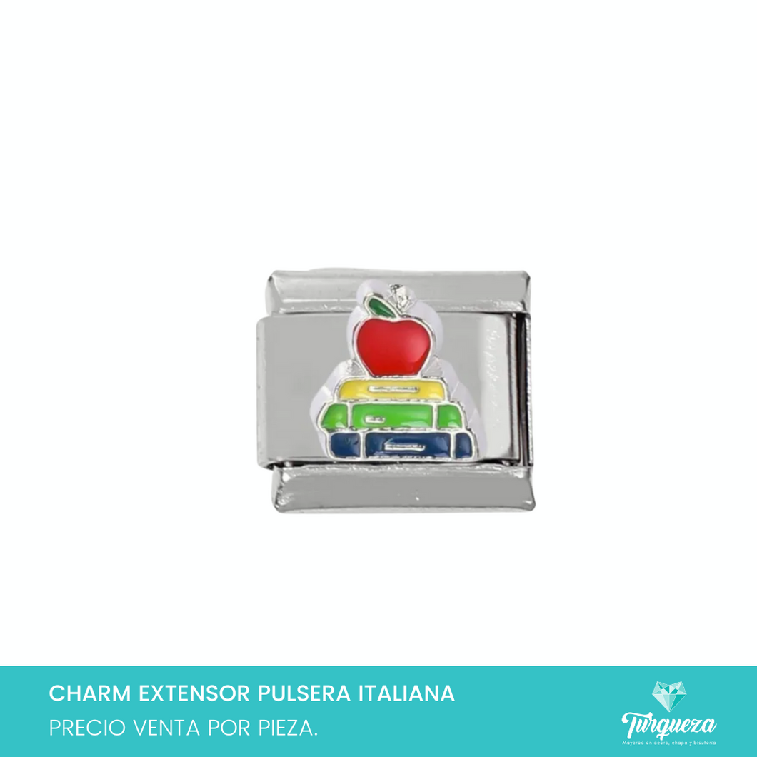 Dije Charm Libros para Pulsera Tipo Italiana Plateado Acero Inoxidable