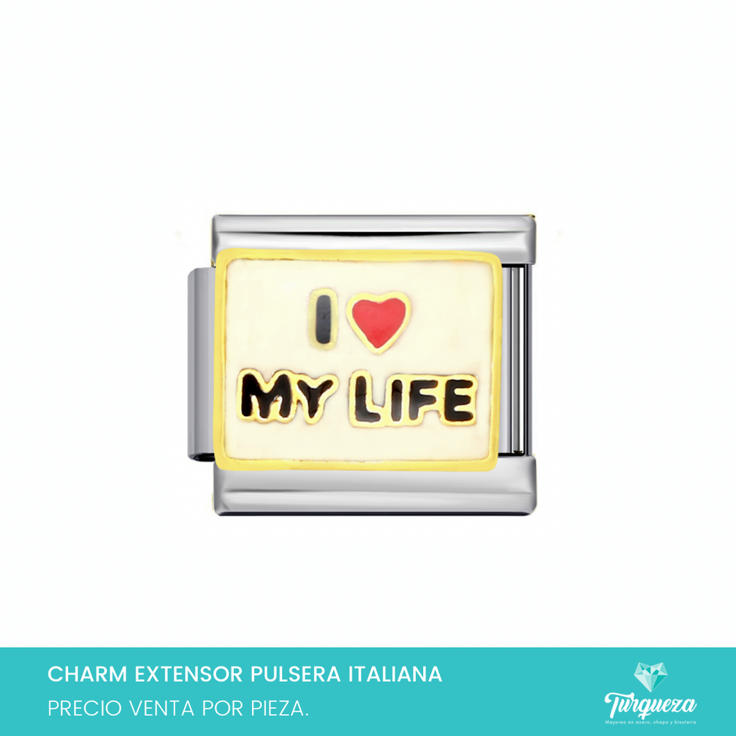 Dije Charm i Love life para Pulsera Tipo Italiana Plateado Acero Inoxidable