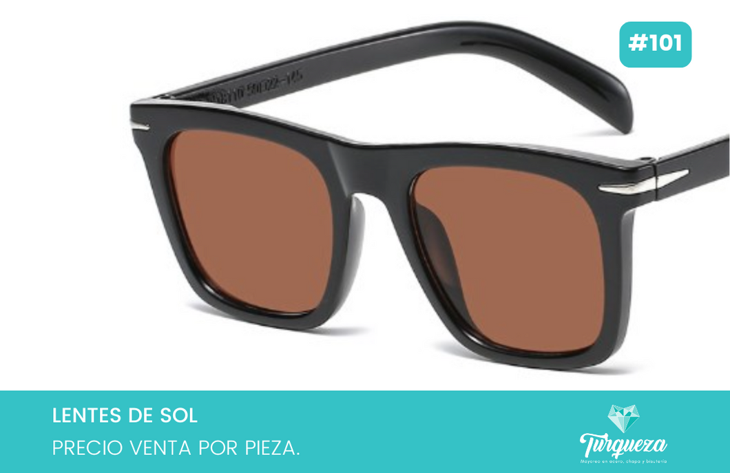 Lentes de Sol Clasico Cafe #101