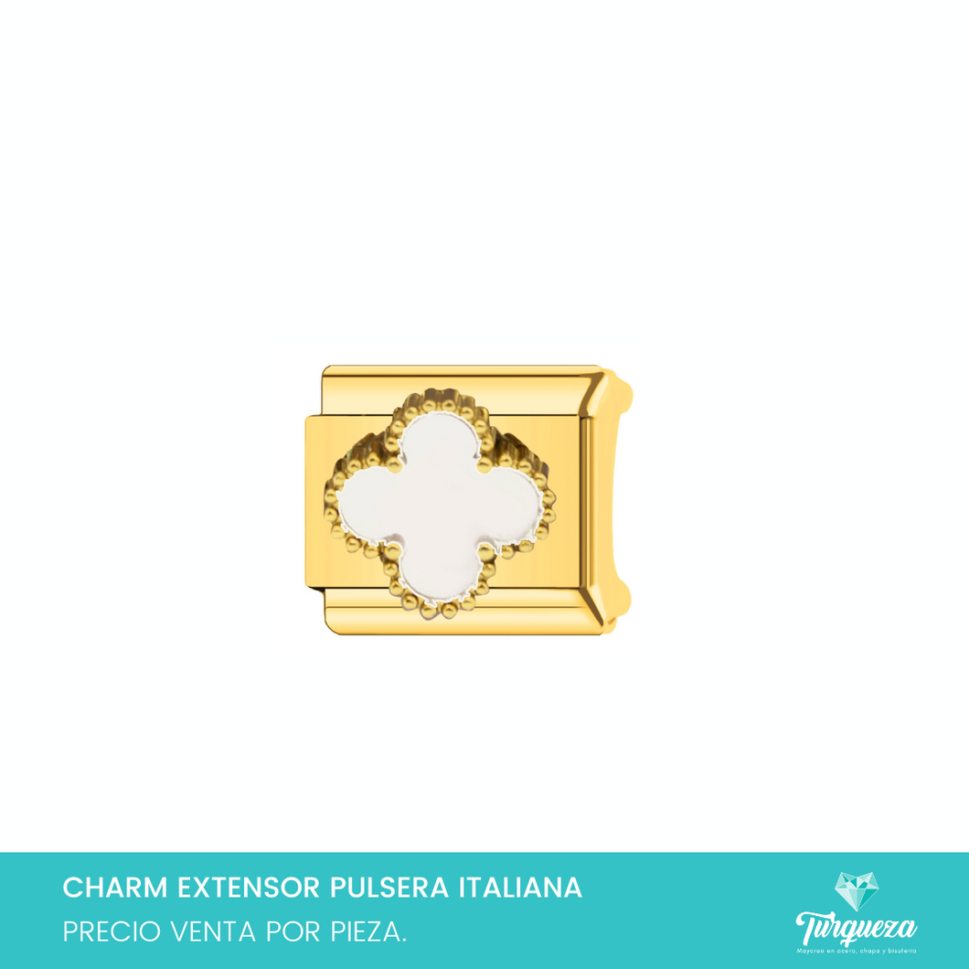 Dije Charm Trebol para Pulsera Tipo Italiana Plateado Acero Inoxidable