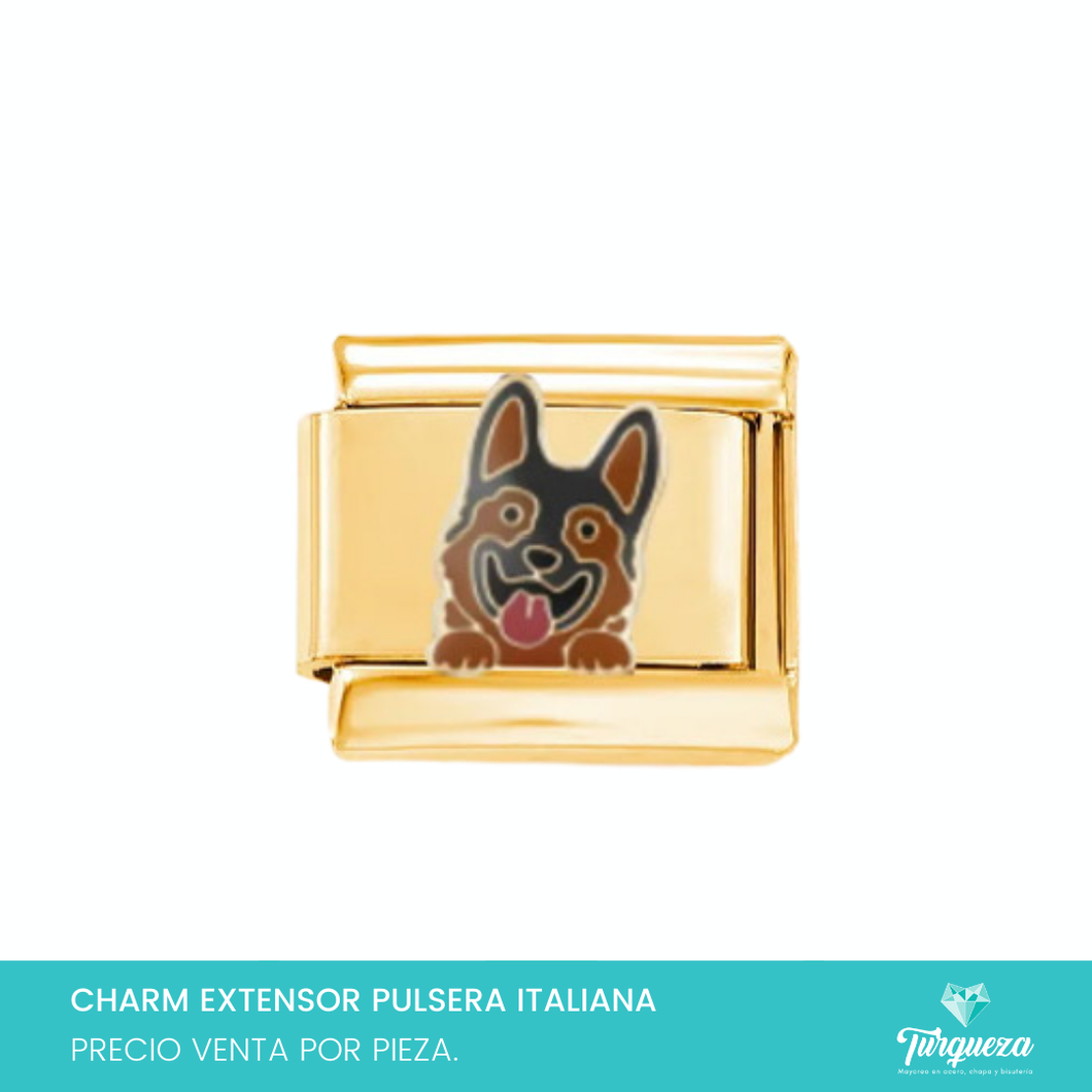 Dije Charm Perro para Pulsera Tipo Italiana dorado Acero Inoxidable