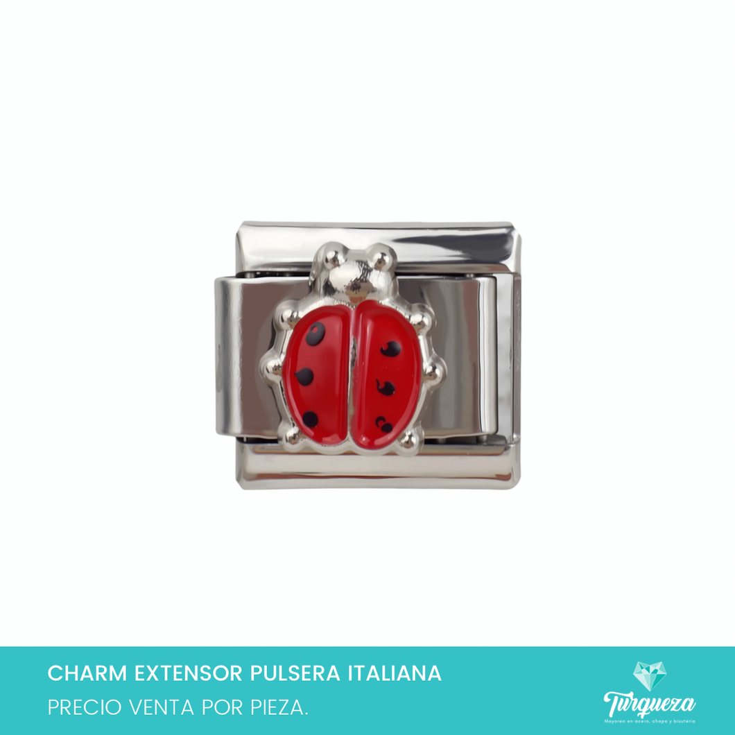 Dije Charm Catarina para Pulsera Tipo Italiana Plateado Acero Inoxidable
