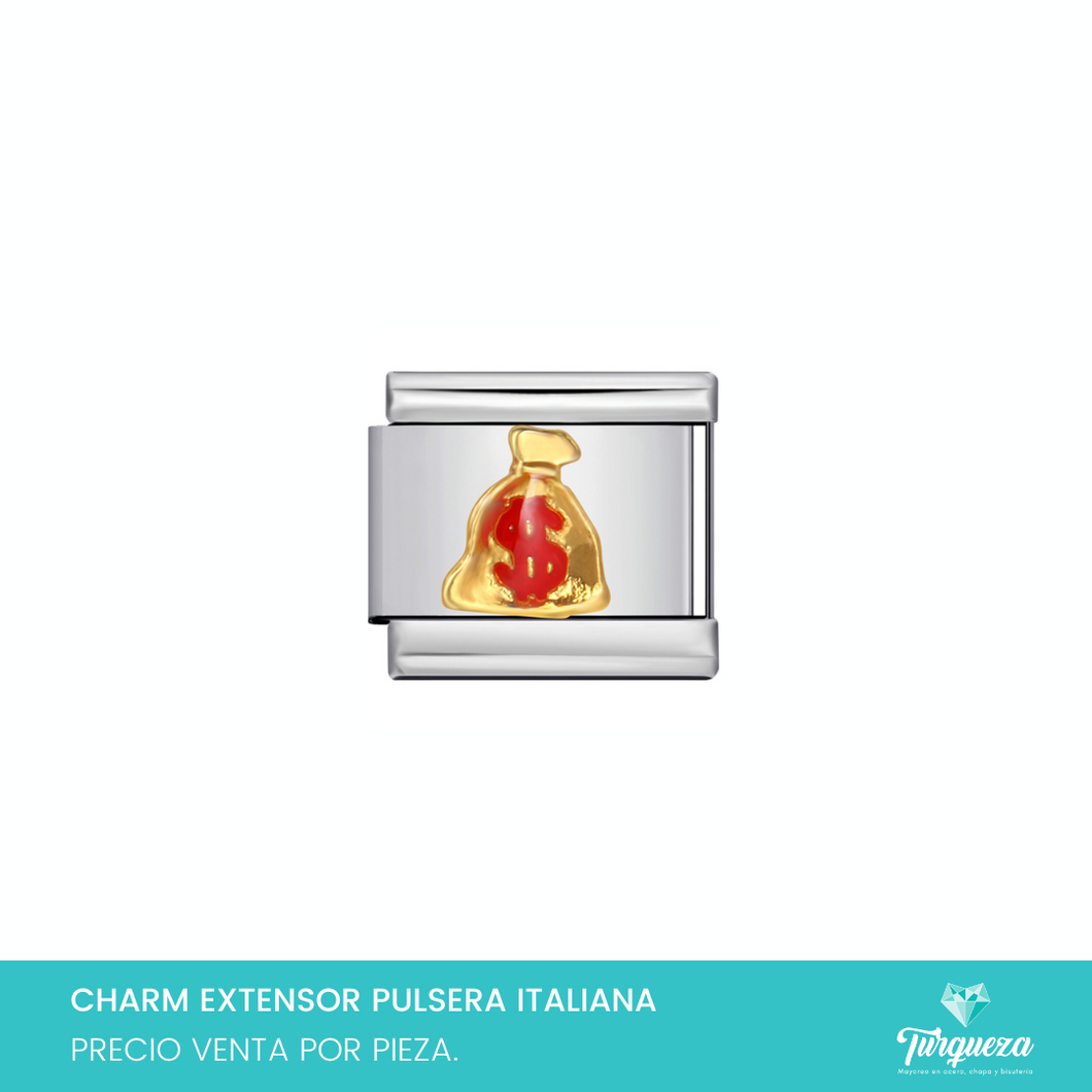 Dije Charm Dinero para Pulsera Tipo Italiana Plateado Acero Inoxidable