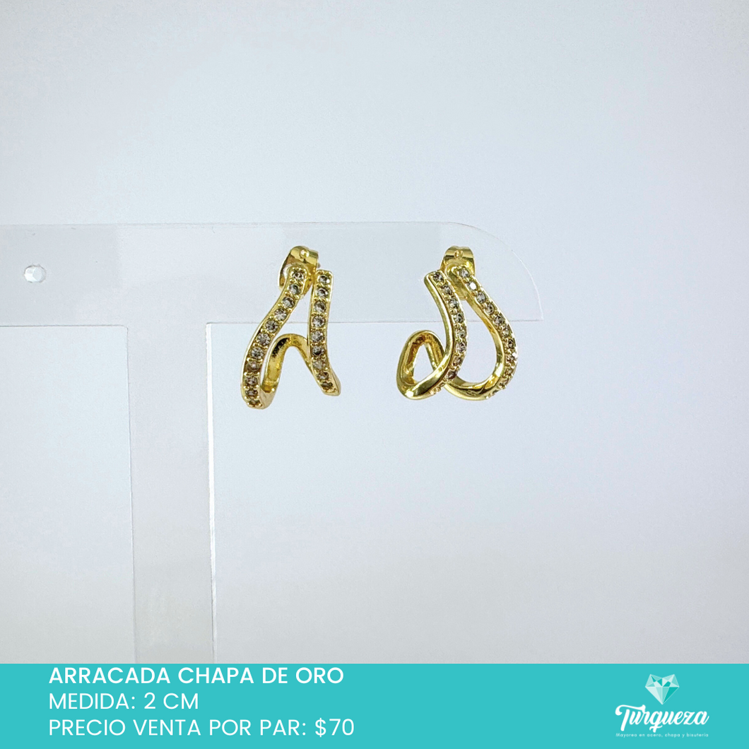 Arete en ¨s¨ con Zirconias Chapa de Oro