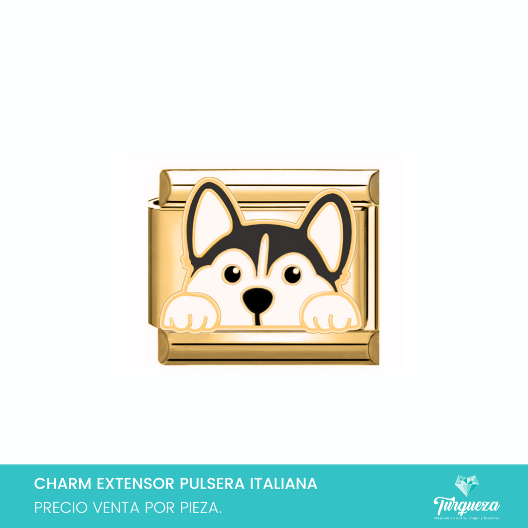 Dije Charm Perrito Dorado para Pulsera Tipo Italiana Acero Inoxidable