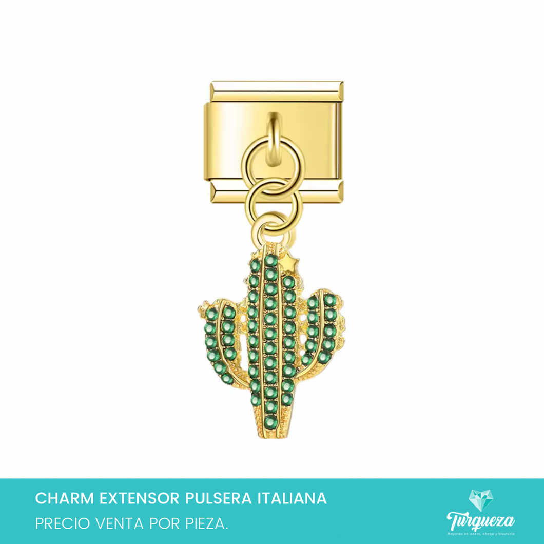 Dije Charm Cactus Colgante para Pulsera Tipo Italiana Acero Inoxidable