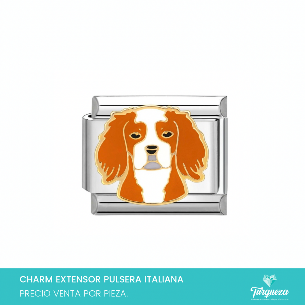 Dije Charm Perro para Pulsera Tipo Italiana Plateado Acero Inoxidable