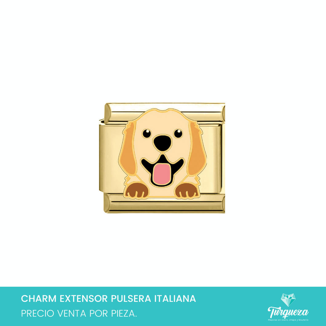 Dije Charm Perrito Labrador Dorado para Pulsera Tipo Italiana Acero Inoxidable