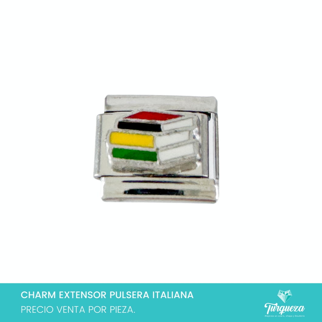 Dije Charm Libros para Pulsera Tipo Italiana Plateado Acero Inoxidable