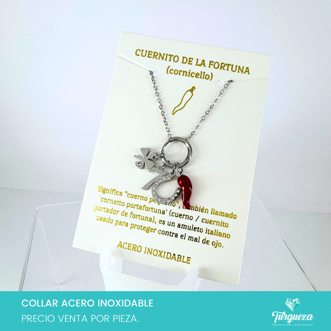 Collar Fortuna Plateado Acero Inoxidable
