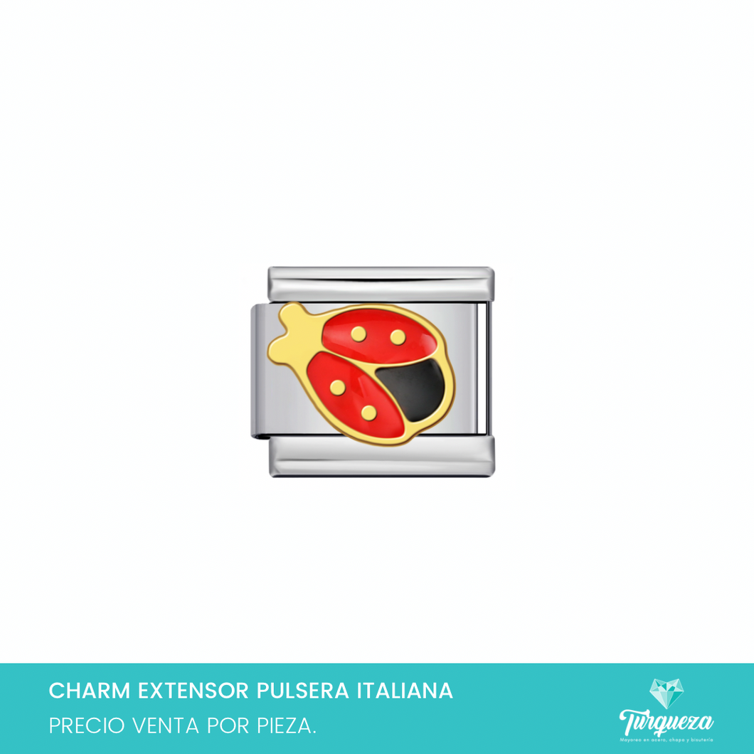 Dije Charm Catarina para Pulsera Tipo Italiana Acero Inoxidable