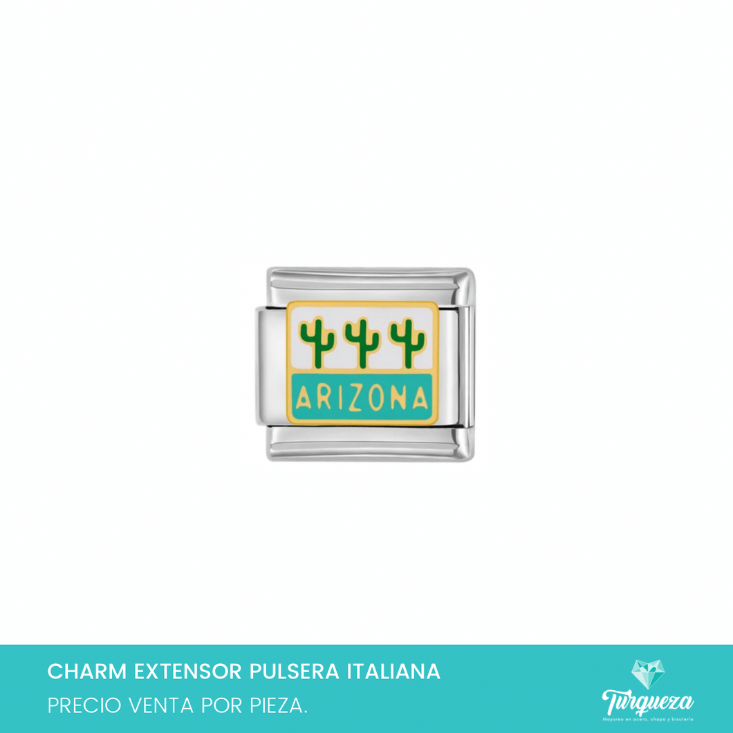 Dije Charm Cactus Arizona para Pulsera Tipo Italiana Plateado Acero Inoxidable