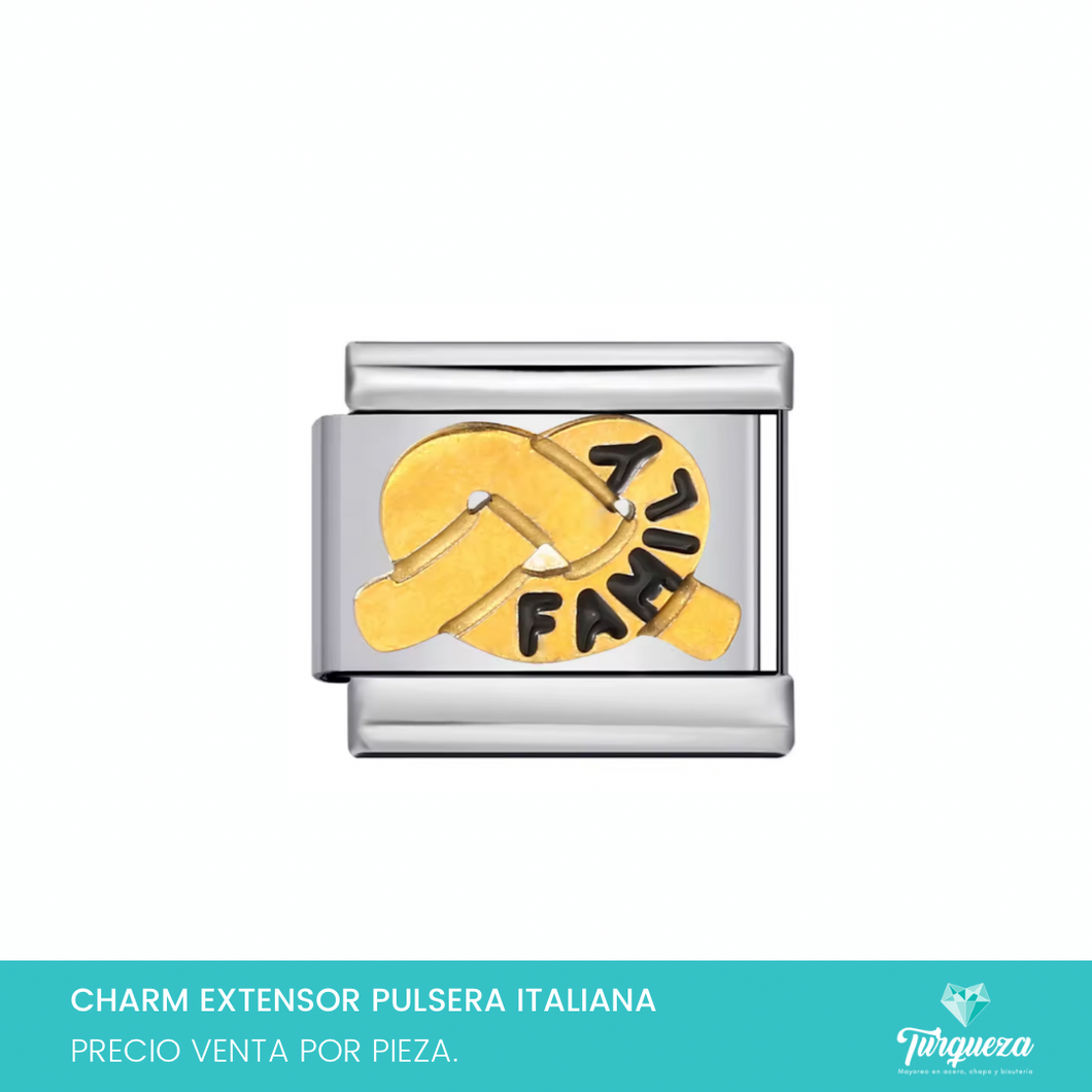 Dije Charm Family para Pulsera Tipo Italiana Acero Inoxidable