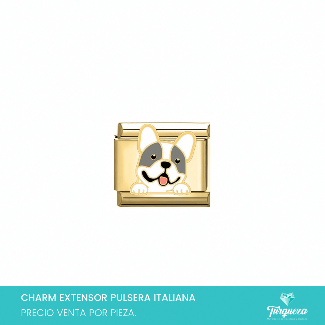 Dije Charm Perro para Pulsera Tipo Italiana Dorado Acero Inoxidable