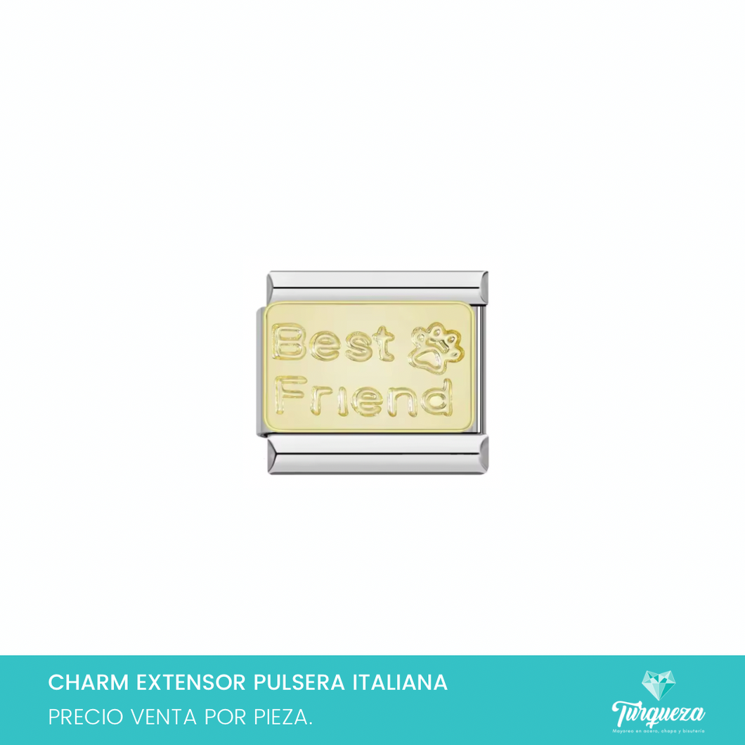Dije Charm BFF Huellita Perro para Pulsera Tipo Italiana Plateado Acero Inoxidable