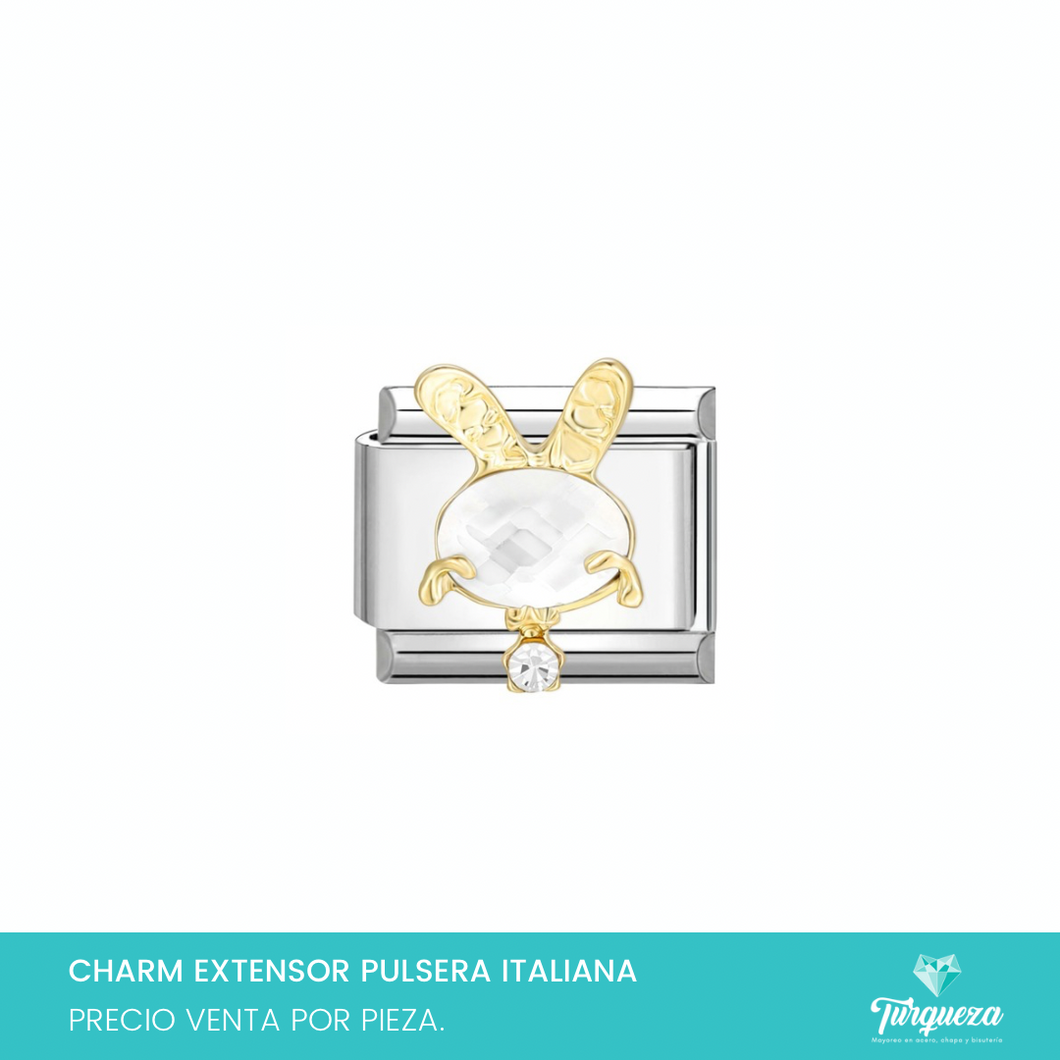 Dije Charm Zirconia para Pulsera Tipo Italiana Plateado Acero Inoxidable
