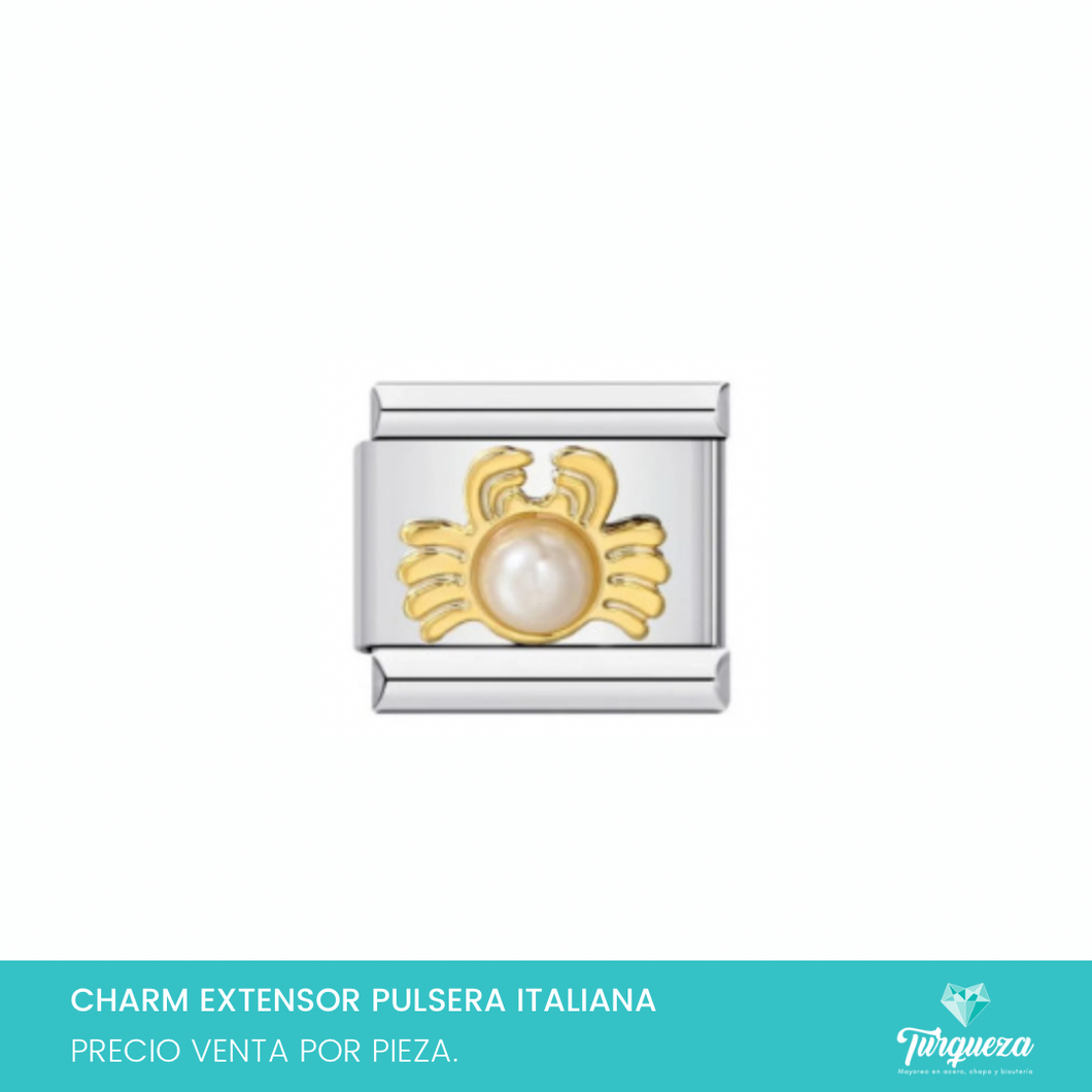 Dije Charm Cangrejo para Pulsera Tipo Italiana Plateado Acero Inoxidable
