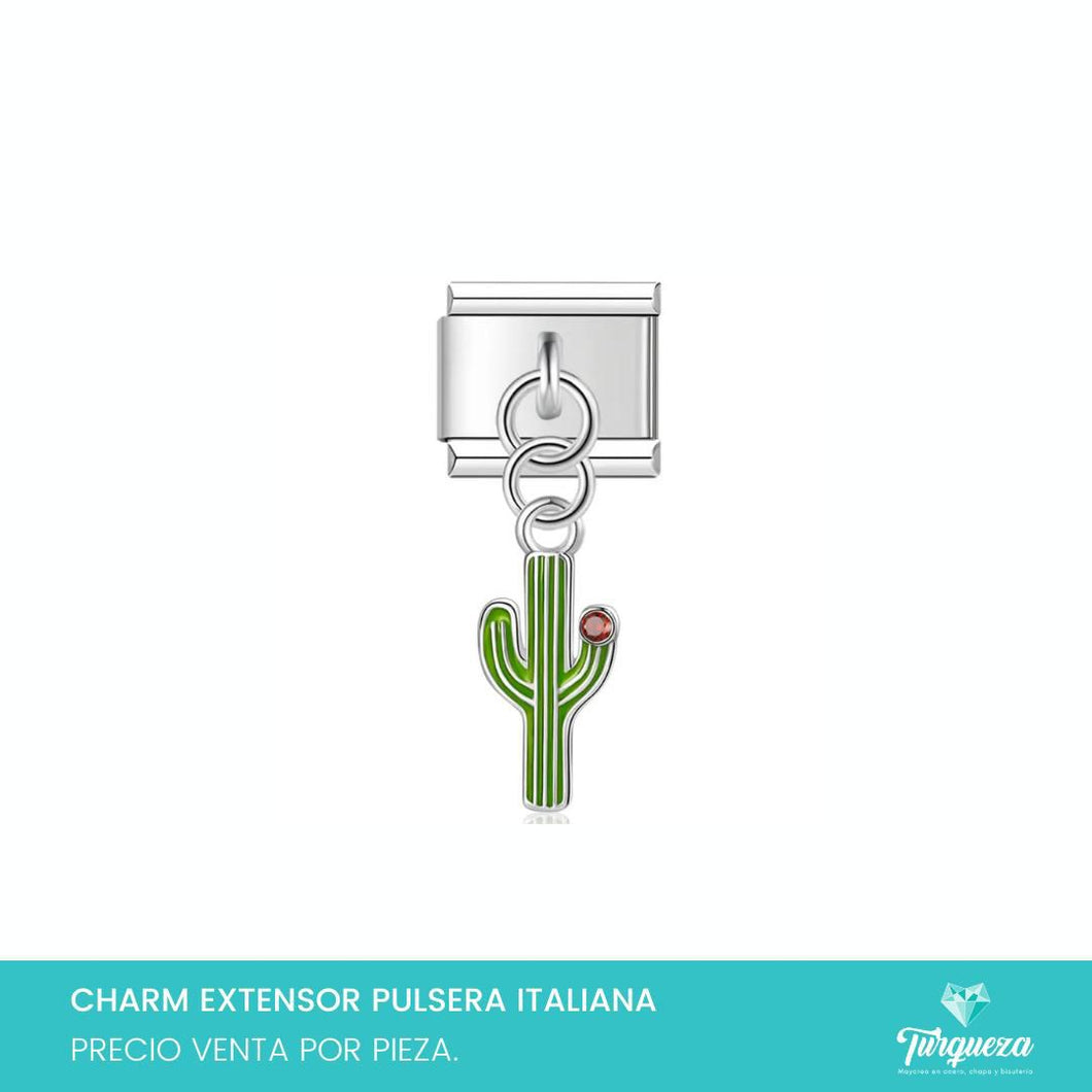 Dije Charm Cactus Colgante para Pulsera Tipo Italiana Plateado Acero Inoxidable