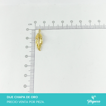 Load image into Gallery viewer, Dije Zirconia Pluma de Ave Chapa de oro
